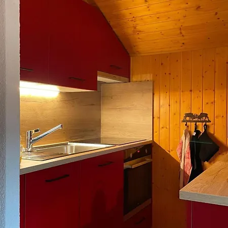 Fougere 11 Champoussin