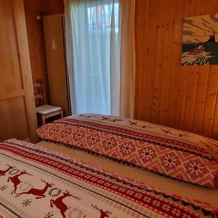 Fougere 11 * シャンプーサン